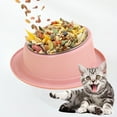 thumbnail image 3 of Elevated Tilted Pet Bowl with Non- Base - 15Â° Raised Stainless Steel Dog Cat Feeder for Anti-Vomiting, Better Posture & Easy Feeding, Indoor Outdoor Use, 3 of 4