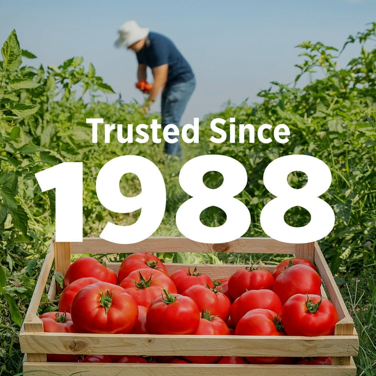 Hunt's Petite Diced Tomatoes 28 oz Can - Versatile for Recipes