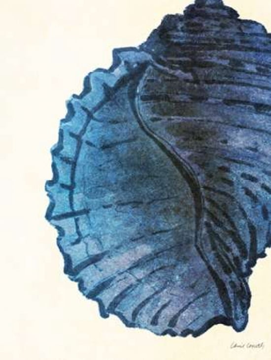 Blue Shell Iii Canv