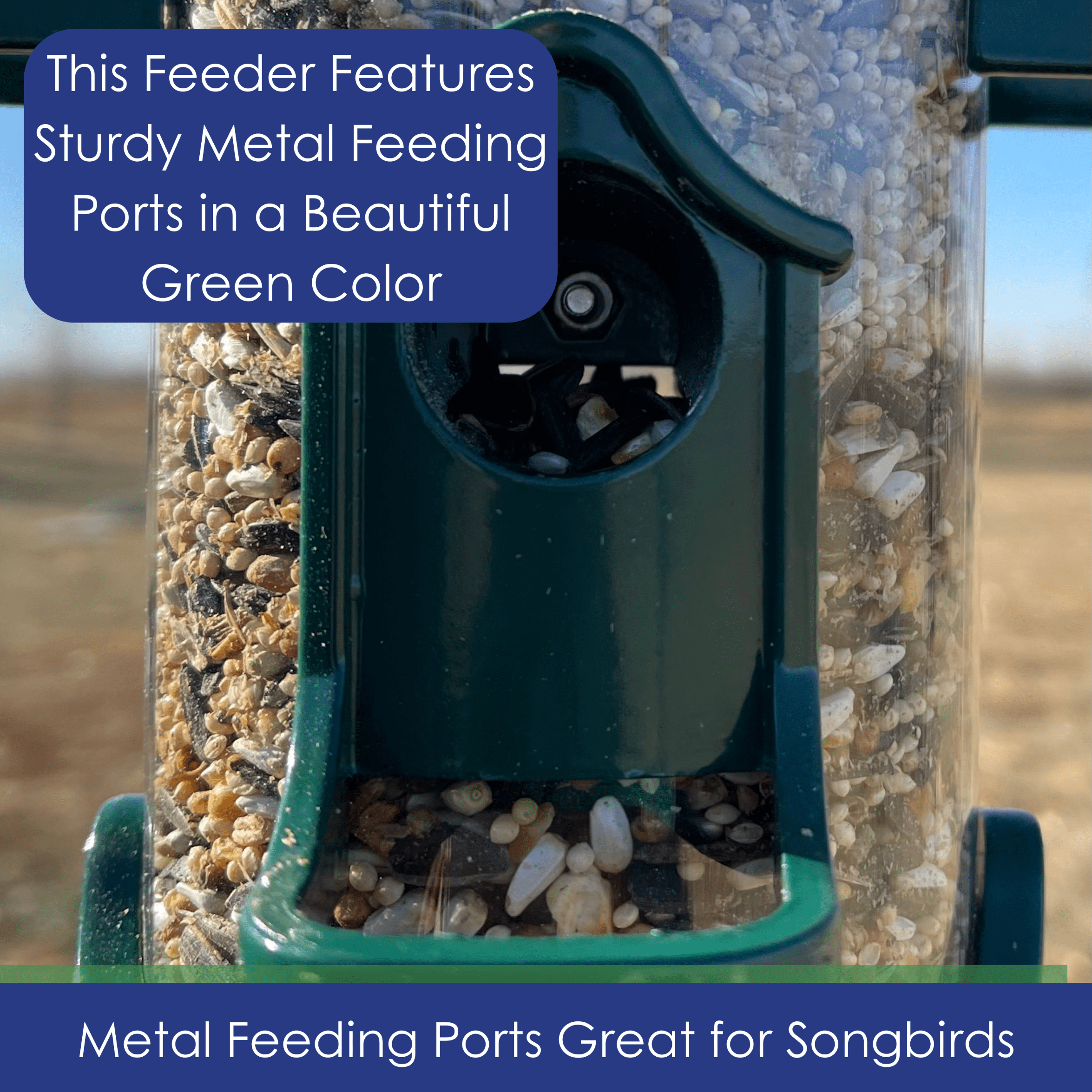 Backyards Essentials Tube Bird Feeder Petite Green Metal Finch Feeder, 4 Cup Capacity