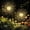 Warm White, variant on Garden Decor Outdoor Lights 120LED 2Pack, Solar Garden Lights for Outside Christmas Fairy Firework Decorative,Solar Powered for Yard Pathway Flowerbed Planter Balcony Patio Decor (Warm White