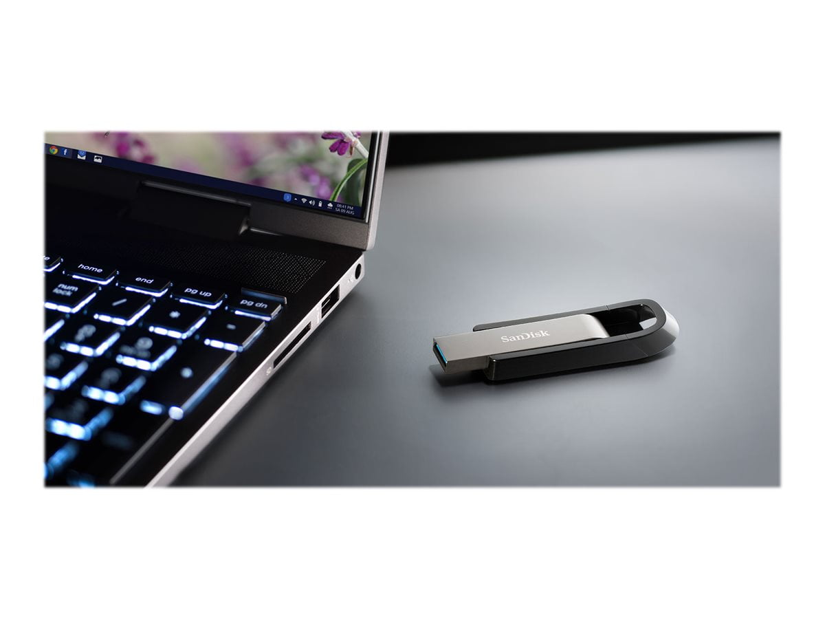 SanDisk Extreme Go USB 3.2 Flash Drive, 256GB