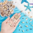 thumbnail image 3 of PH PandaHall 460pcs Natural Spiral Shell Beads, 7~20mm 6 Styles Small Seashells Undrilled Ocean Spiral Seashells Miniature Shells for DIY Jewelry Craft Wedding Decor Fish Tank Vase Filler, No Hole, 3 of 7