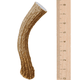 thumbnail image 5 of 2 Pack - Large, Premium Deer Antlers for Dogs, All Natural Dog Chews - Grade A - WhiteTail Naturals, 5 of 7