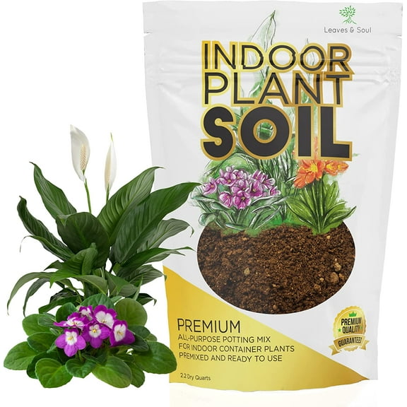 Leaves and Soul Indoor Plant Soil, All Purpose Blend, Large 2.2 Quarts