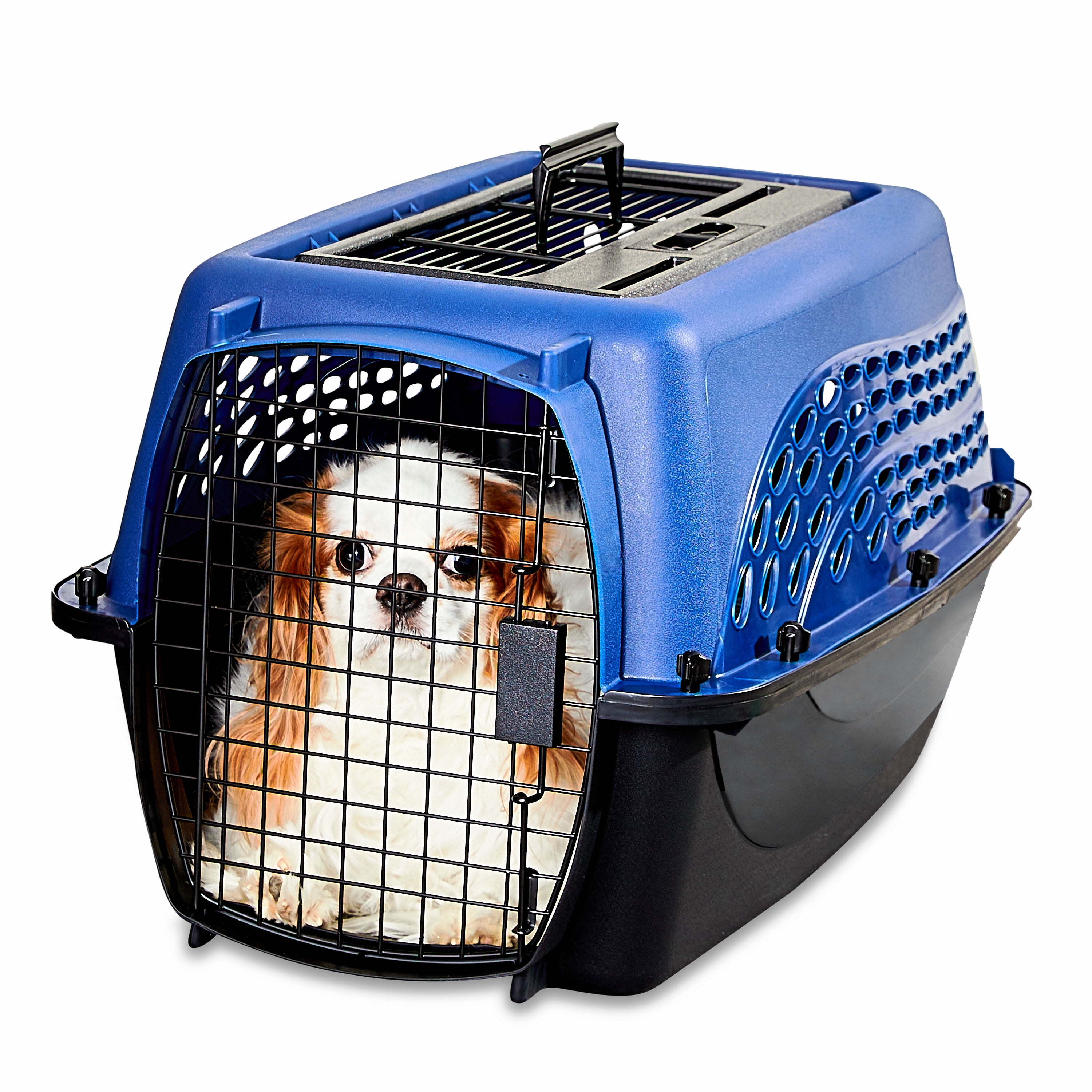 Vibrant Life Top Load 2Door 24" Plastic Pet Kennel for Dogs