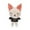 Foxi.ny, variant on Skzoo Plushies Stray Kids Plush Toys Set 8 Inches Cute Stuffed Animals Toy Stray Kids for Fans Boys and Girls (Foxi.ny)
