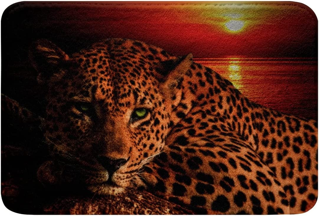 Moon Cheetah Bath Mat Leopard Print Bathroom Rugs for Teens Boys