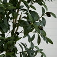 thumbnail image 3 of Nearly Natural 8ft. Artificial Olive Tree, Green, 3 of 6