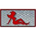 thumbnail image 2 of Plaque d'Immatriculation Red Cowgirl sur Diamant, 2 of 2