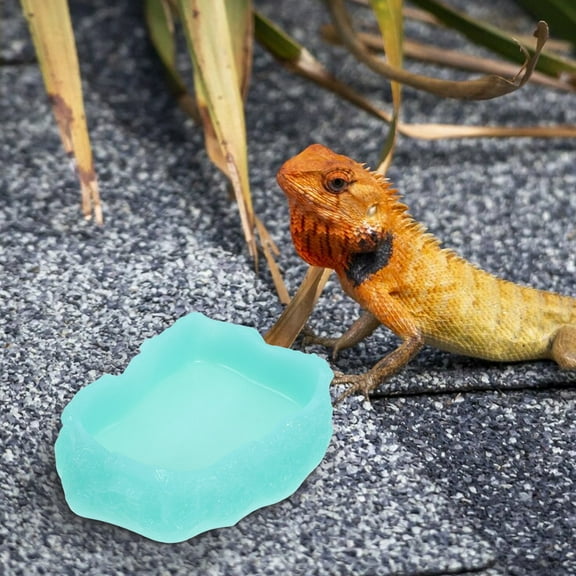 WEUVEB Resin Luminous Reptile Water Bowl Light Green Daily Use Dish