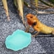 thumbnail image 4 of USHOBE Para Reptiles Resistente De Resina Luminosa En Para Jaulas Y Alimentación, 4 of 8
