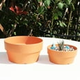 HGYCPP Imitation Terracotta Pot for Plants Succulent Planter with