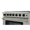 thumbnail image 4 of THOR KITCHEN LRG3601ULP gaspro, 4 of 5