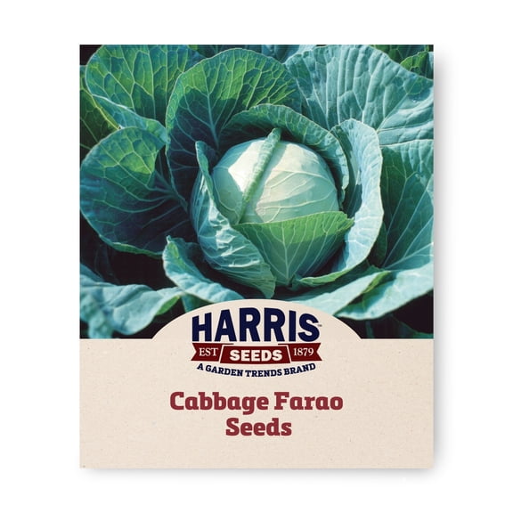 Harris Seeds Cabbage Farao F1 Organic, Non-GMO Green Cabbage, 50 Count
