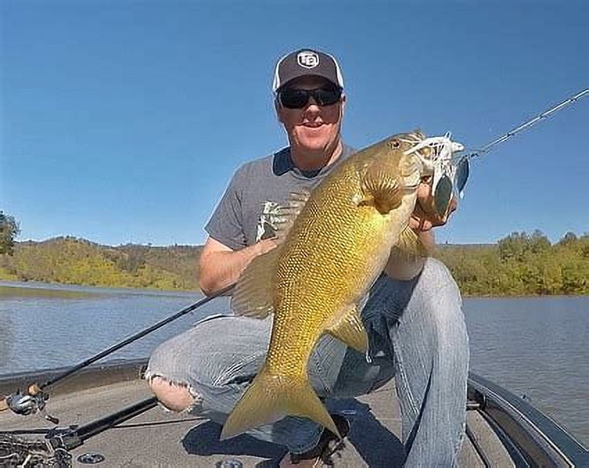 Strike King Promo Spinnerbait Fire Tiger, Fishing Lure