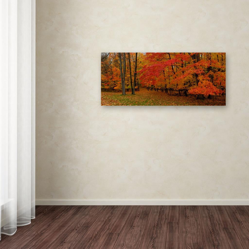 Trademark Fine Art "Ohio Autumn" Canvas Wall Art by Kurt Shaffer