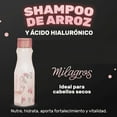 thumbnail image 4 of Kit Milagros Capilar Shampoo y Acondicionador de Arroz y Linaza, 4 of 5