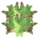 thumbnail image 2 of 60 piezas de sépalos, pétalos, flores artificiales, cálices, sépalos de tela, hojas verdes de plantas para ramos de bricolaje., 2 of 6