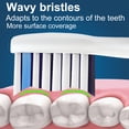 thumbnail image 6 of 8 Pack Replacement Brush Heads, Compatible with Philips Sonicare Electric Toothbrush, 4pcs Precision Clean and 4pcs Whitening Clean Brush Heads,White., 6 of 7