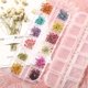 thumbnail image 3 of Flores de uñas secas, pegatina de arte de uñas 3d para toques de accesorios de mezcla de decoración de uñas, flores de hojas estrelladas MFZFUKR CPB-DE-LYY215, 3 of 5