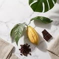 thumbnail image 1 of unbranded Adorno Plástico Artificial De Cacao Amarillo Para Y Escaparate, 1 of 8