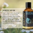 thumbnail image 3 of MAYJAM 100ML White Musk Essential Oil for Diffusers, Long Lasting Musk Scented Oils for Candle Making, Fragrance, Aromatherapy, 3 of 9
