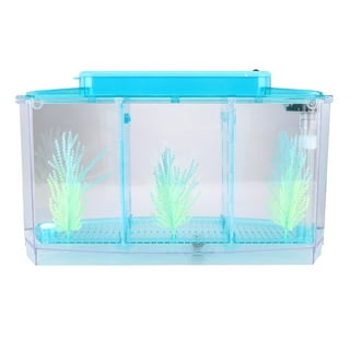 Walmart fish supplies 2025