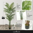 thumbnail image 2 of CAPHAUS Artificial Palm Tree, 5 / 6 / 7 Feet with 18 Trunks Faux Potted Tree for Home Office Modern Decoration, Faux Dypsis Lutescens Plant in Pot with Dried Moss, Indoor Gift for Housewarming, 2 of 9