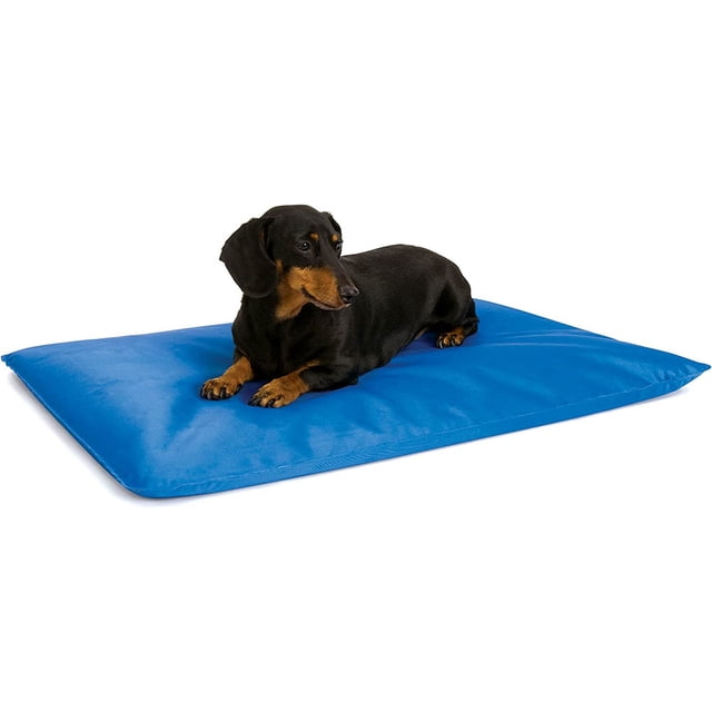 Cool Bed III Dog Cooling Mat, Indoor Outdoor Cooling Beds for Large Dogs, Chilling Pet Pad for in Home, Outdoor Houses, Crates, Yards, Porches - Large 44 X 32in Chill Blue