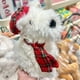 thumbnail image 2 of Jellycat Stuffed Animals,Jellycat,Jelly Cat,7.87 inch Dog Plushies,Dog Stuffed Animal Toy Doll for Kids & Adult,Great Birthday/Valentine's Day Gift, 2 of 4