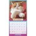 thumbnail image 4 of BrownTrout, Avanti Cranky Kitties by Plato 2025 Wall Calendar, 4 of 4