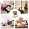 thumbnail image 4 of Catnip Toys for Cats Multifunctional Interactive Catnip Toy Cat Floor Ball Toy Versatile Catnip Flo, 4 of 5