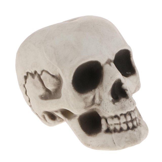 Estatuilla de Huesos de de Cráneo Plástico, Modelo apariencia , Decoración de Halloween, Accesorios de UNA Colco Estatuilla de la cabeza del cráneo