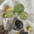 thumbnail image 1 of SOPOTUTU De Cocos Falsos En Plástico Para Y Eventos, 1 of 8