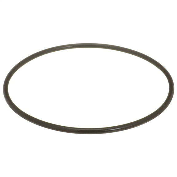 Delphi Fuel Pump Tank Seal