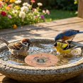 thumbnail image 4 of Bird Bath Water Purifier Discs Natural Enzyme Cleaner For Bird Baths Outdoor Garden Pond Water Treatment, 4 of 4