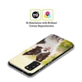 thumbnail image 2 of Head Case Designs Popular Dog Breeds Brown Border Collie In Summer Soft Gel Case Compatible with Samsung Galaxy A01 Core (2020), 2 of 7
