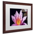 thumbnail image 2 of Trademark Fine Art "Pink Water Lily" Canvas Art by Kurt Shaffer, White Matte, Wood Frame, 2 of 3