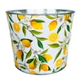 thumbnail image 1 of Set of 12 Lemon Zest Planter, 1 of 1