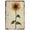 Sunflower, variant on Metal Tin Sign Sunflower Vintage Tin Poster Metal Sign Wall Decoration Country Kitchen Home Garage Decor 12"x8"