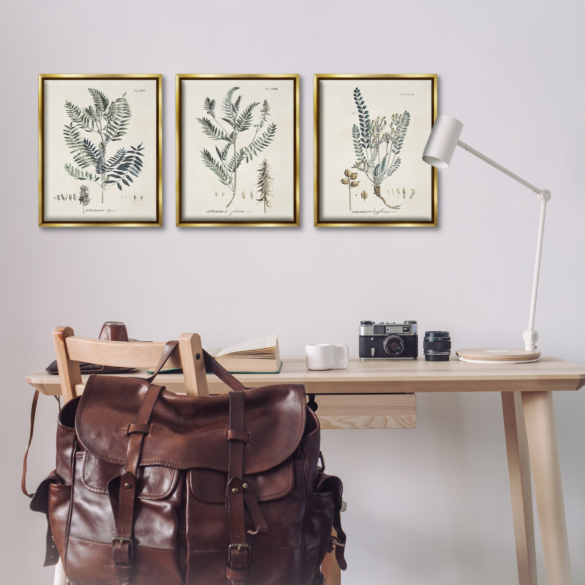 Stupell Industries Woodland Plant Studies Botanical & Floral Painting Gold Floater Framed Canvas Art Print Wall Art, 17 x 21, Set of 3