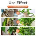 thumbnail image 6 of Brazilian Wood  Fertilizer, Lucky Bamboo Liquid Fertilizer, 2-Pack (100ml Each), 6 of 6