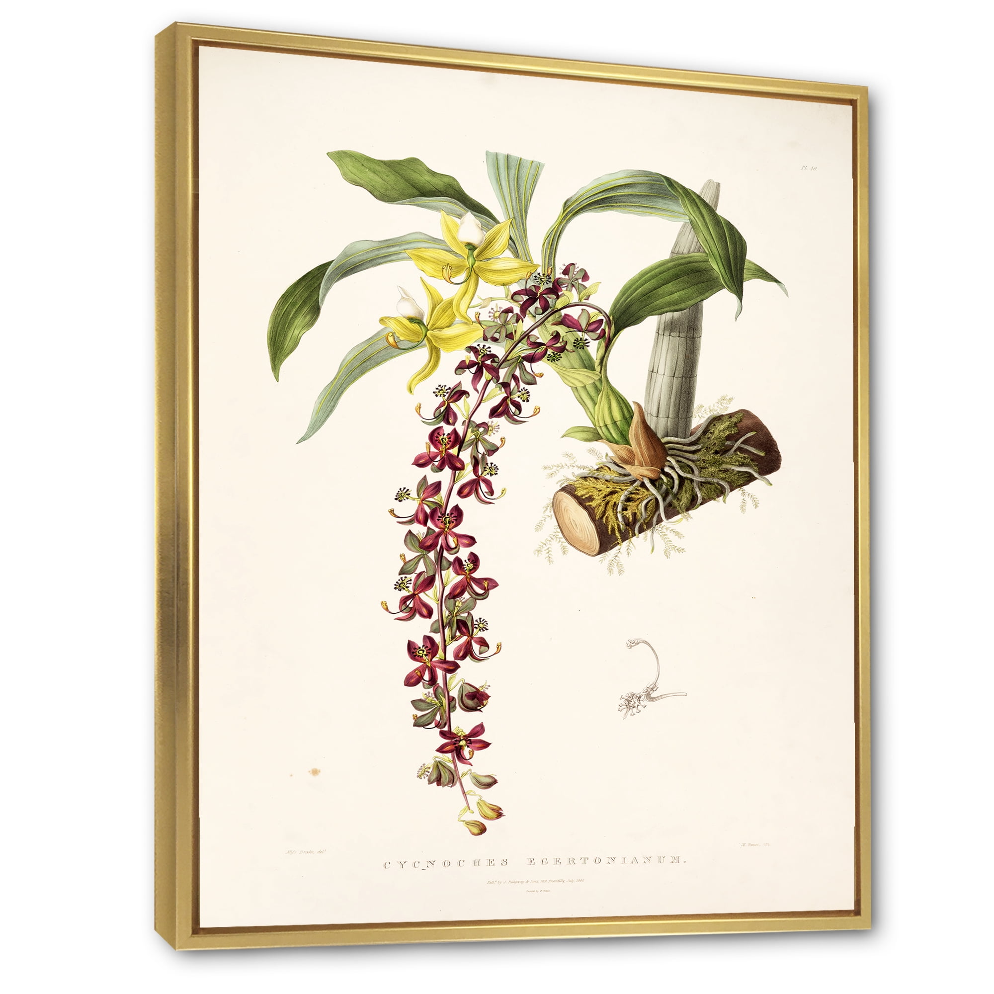 Designart 'Ancient Flower II' Traditional Framed Canvas Wall Art Print