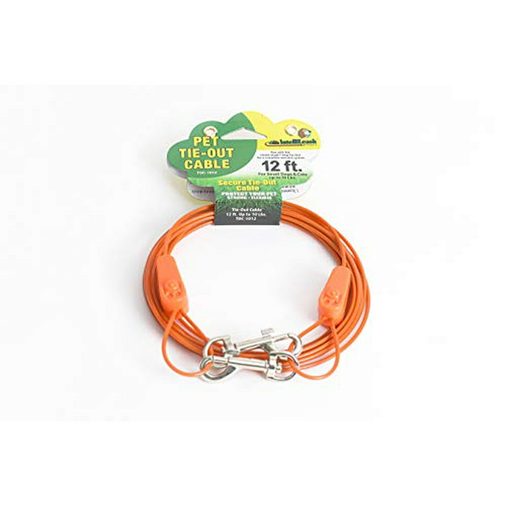 IntelliLeash Products Tie Out Cable for Dogs (10 lb/12')