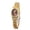CD07_Gold with Brown Face, variant on Gold Watches for Women Casual Round Case Watch with Stainless Expansion 2026 Gold with Gold Face