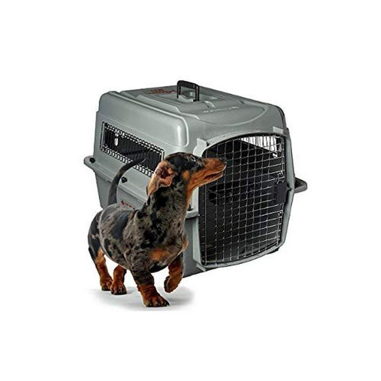 Petmate Sky Kennel IATA 21 Small Plastic Dog Crate Travel Pet Carriers for Dogs Upto 15 lb Gray Pack of 1 Walmart
