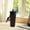 Black, variant on Elodie Insulated Water Bottle Drinking Bottle for Camping Hiking Outdoor Activities Blue Flower