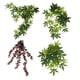 thumbnail image 1 of Climber Vines Fernando Decoración artificial Terrario 5x, 1 of 8