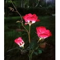 thumbnail image 1 of Luces solares de jardín CM-TOP Rosa Roja Impermeables, 1 of 3